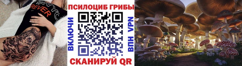 Псилоцибиновые грибы ЛСД  Ростов 